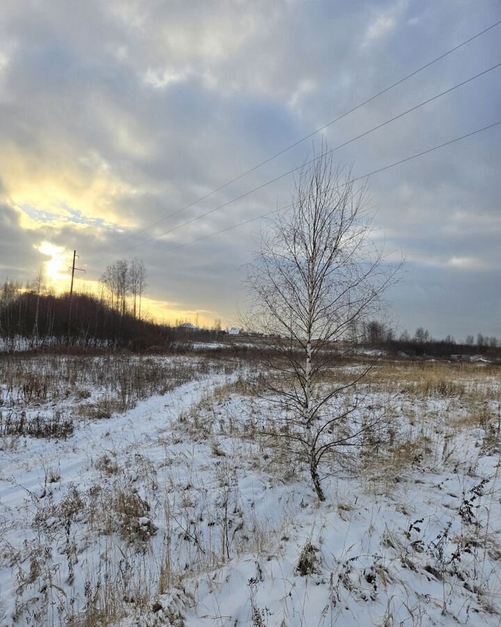 земля городской округ Раменский 53 км, садовые участки, Воскресенск, Новорязанское шоссе фото 1