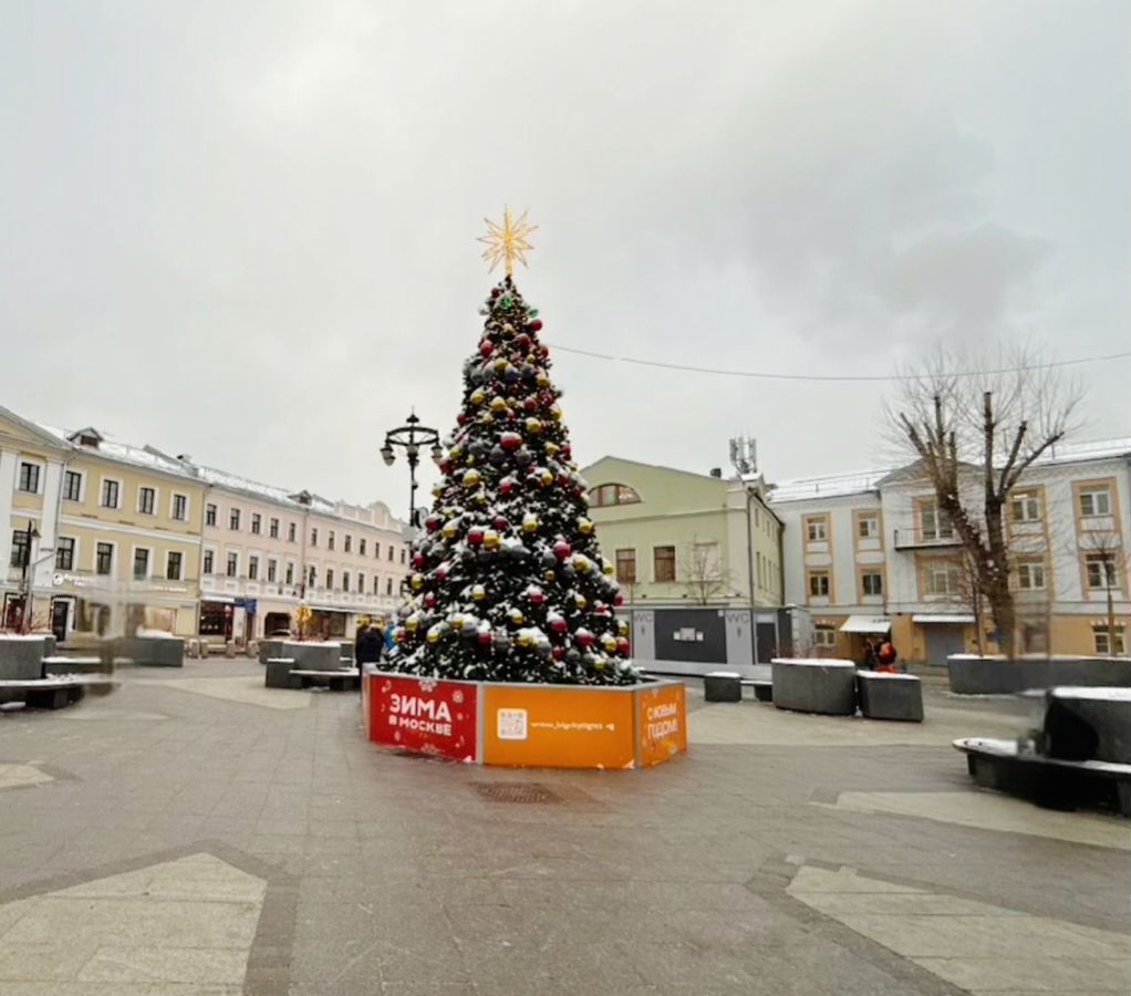 квартира г Москва метро Новокузнецкая наб Космодамианская 4/22а муниципальный округ Замоскворечье фото 7