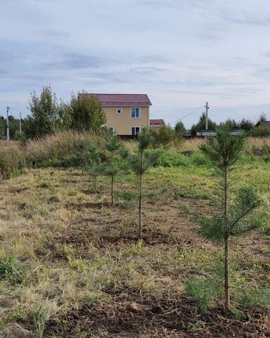 земля п Вороновское п ЛМС направление Курское (юг) ш Варшавское 47 км, г. о. Чехов, д. Алфёрово, Московская область фото