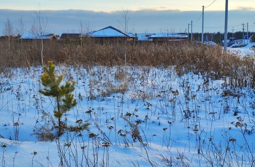 земля р-н Тюменский с Успенка Успенское сельское поселение фото 4