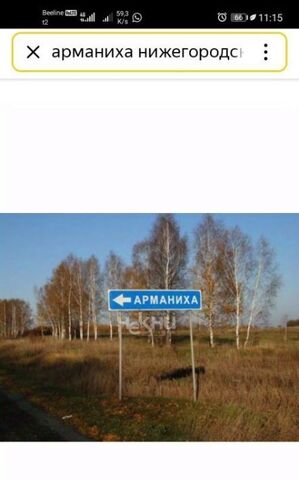 р-н Дальнеконстантиновский с Арманиха ул Центральная 215а фото