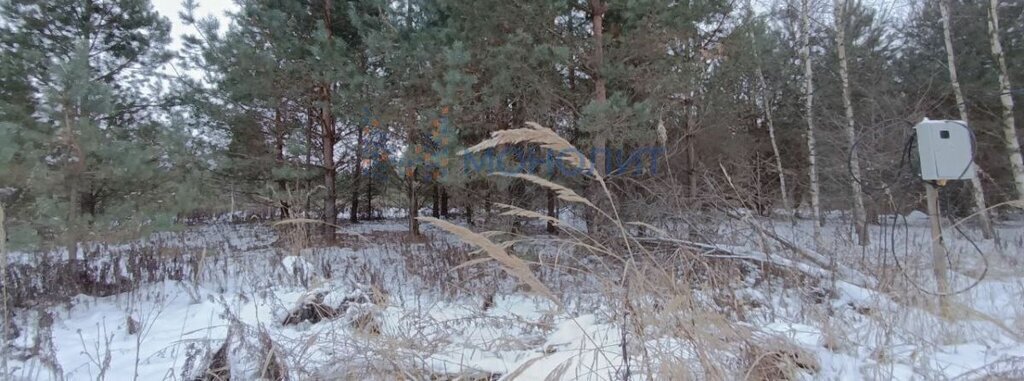 земля р-н Богородский д Непецино ул Ромашковая 2 фото 1