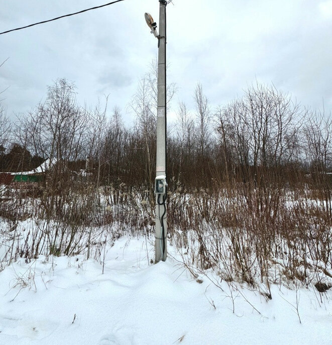 земля городской округ Раменский д Донино Раменское, СНТ Дары Природы фото 5