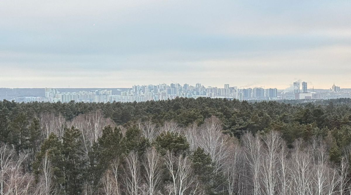 квартира г Челябинск р-н Центральный ул Лесопарковая 8 клубный дом «‎Gagarin Residence»‎ фото 11