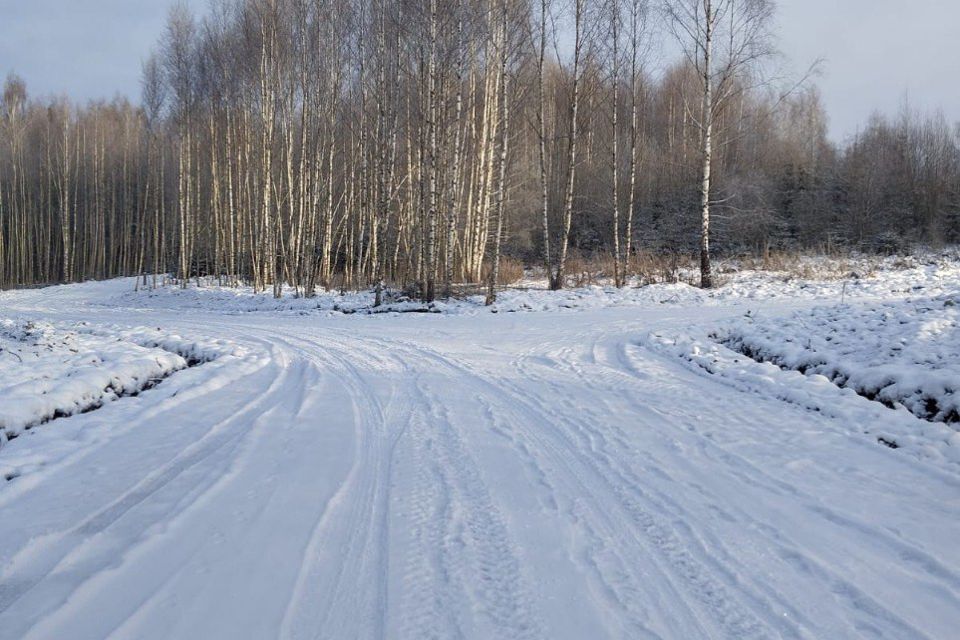 земля городской округ Дмитровский д. Сбоево фото 2