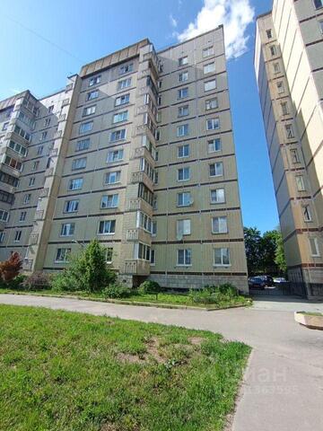 ш Кингисеппское 12/4 р-н Красносельский Ленинградская область фото