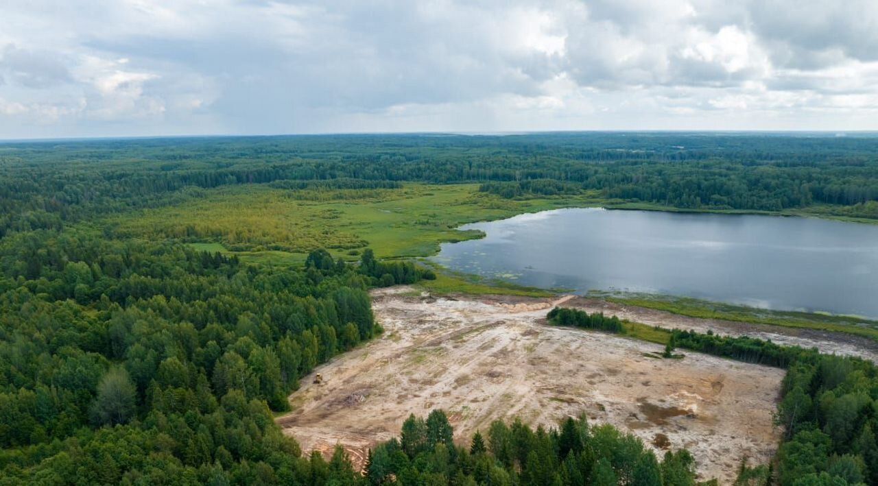 земля р-н Боровичский д Молодёново Железковское с/пос фото 23