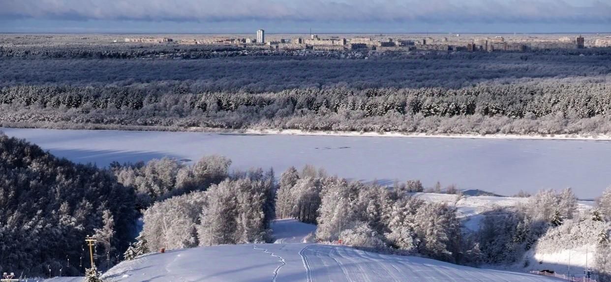 земля р-н Богородский д Заозерье ул Ореховая фото 8