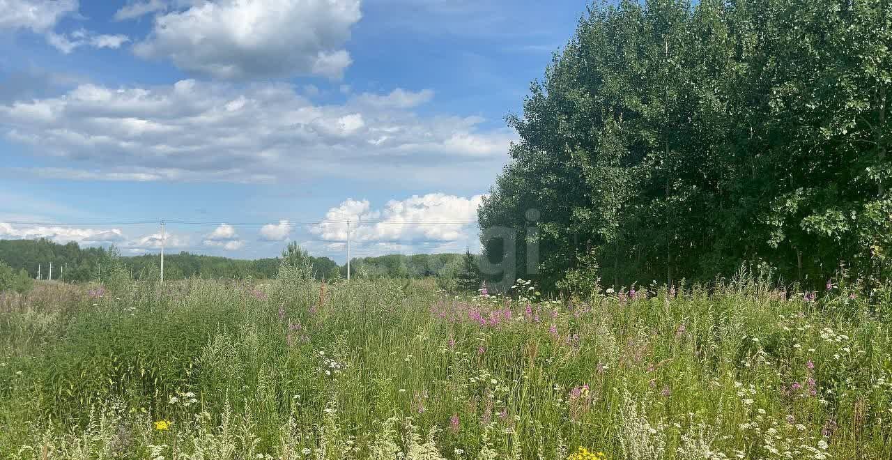 земля р-н Нижнетавдинский п Торгили Каскара фото 4