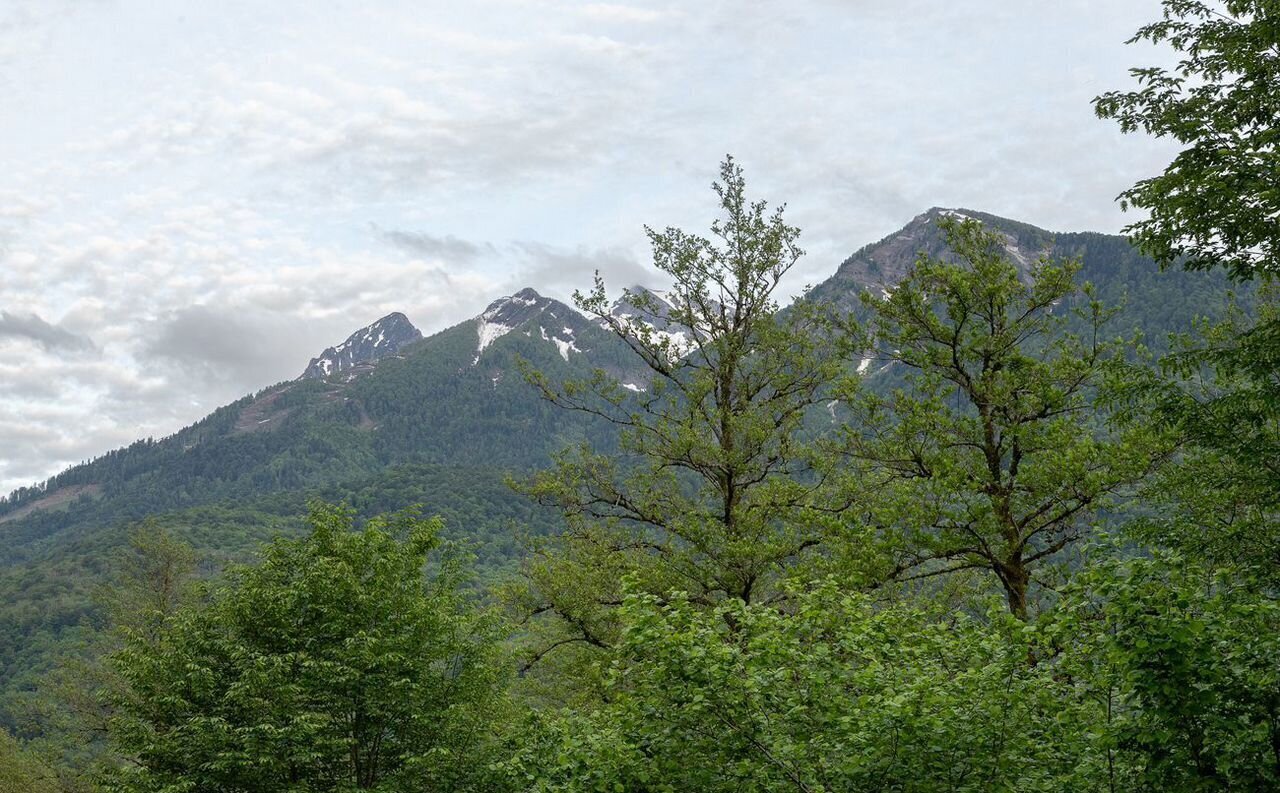 дом г Сочи р-н Адлерский пгт Красная Поляна Ставропольская ул., 24 фото 2