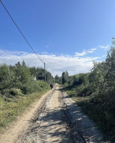 р-н Центральный снт Ясень Центральный административный округ фото