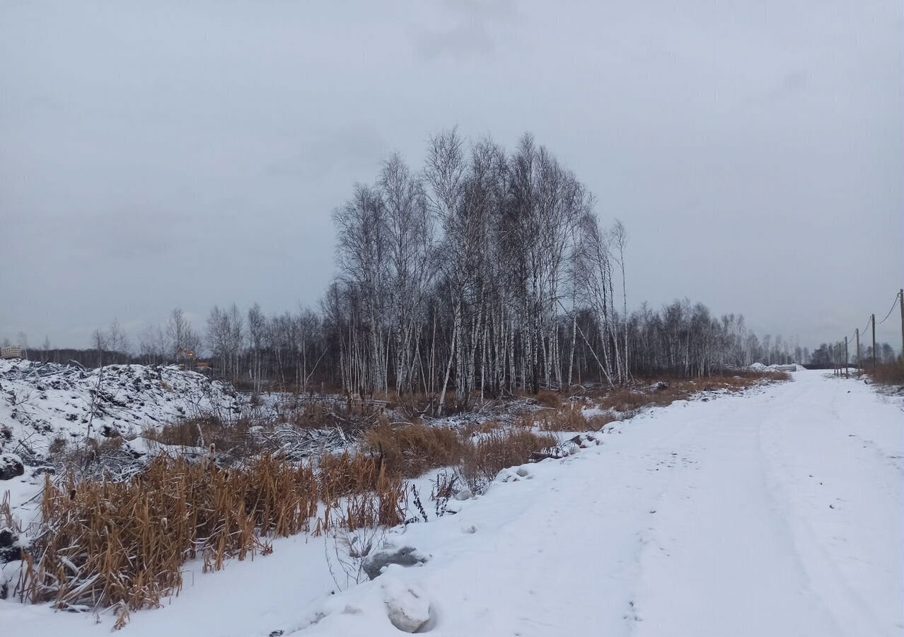 земля г Тюмень р-н Центральный тракт Велижанский 9й километр фото 11