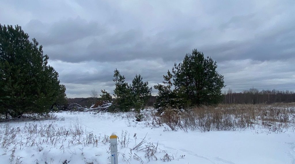 земля городской округ Егорьевск д Яковлево Саввинские Берега кп фото 5