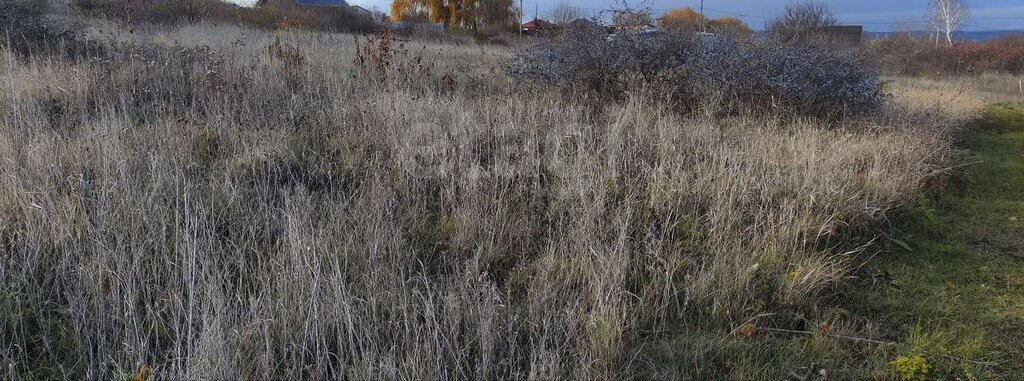 земля р-н Анапский г Анапа садово-огородническое товарищество Колос фото 3