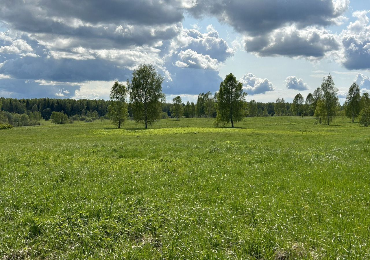 земля городской округ Можайский д Люльки 133 км, Уваровка, Минское шоссе фото 18