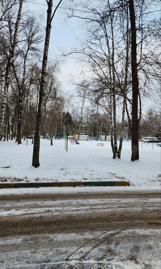 квартира г Нижний Новгород р-н Автозаводский Парк культуры ул Лескова 60 фото 15