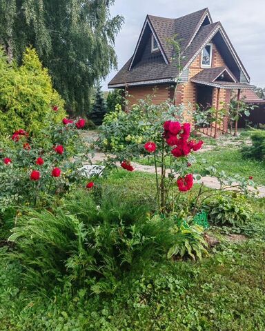 р-н Спасский д Каменка ул Старокаменская Перкинское сельское поселение, Спасск-Рязанский фото