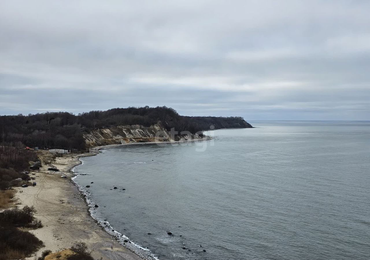 земля р-н Светлогорский п Донское пос. Донское, Светлогорский г. о. фото 2