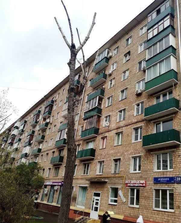 квартира г Москва пр-кт Будённого 39к/1 Сортировочная фото 11