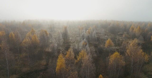 55 км, коттеджный пос. Макеево Вилладж, 49, Михнево, Новокаширское шоссе фото