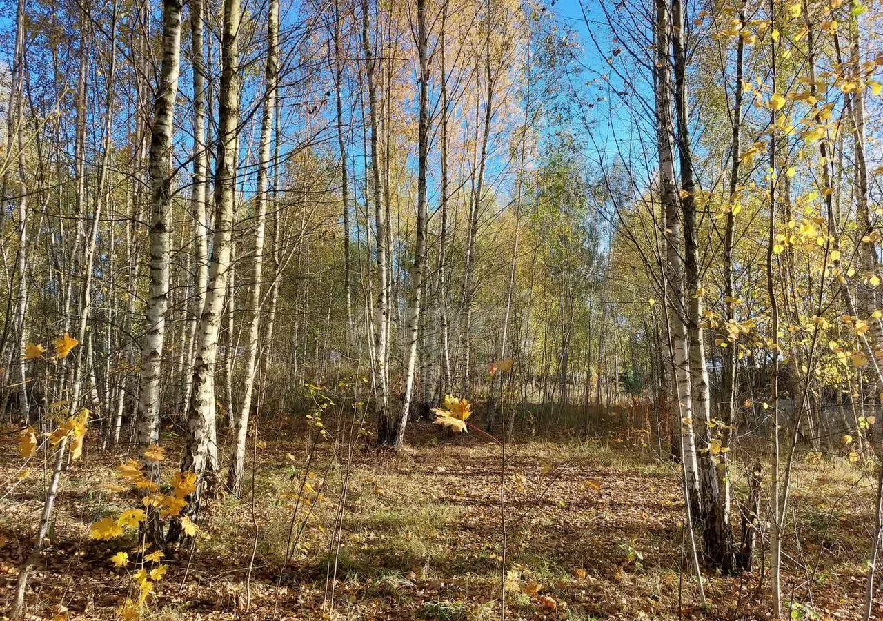 земля направление Курское (юг) ш Варшавское 28 км, Краснопахорский р-н, коттеджный пос. Сосновый Бор, 63, Москва, Подольск, Троицкий административный округ фото 6