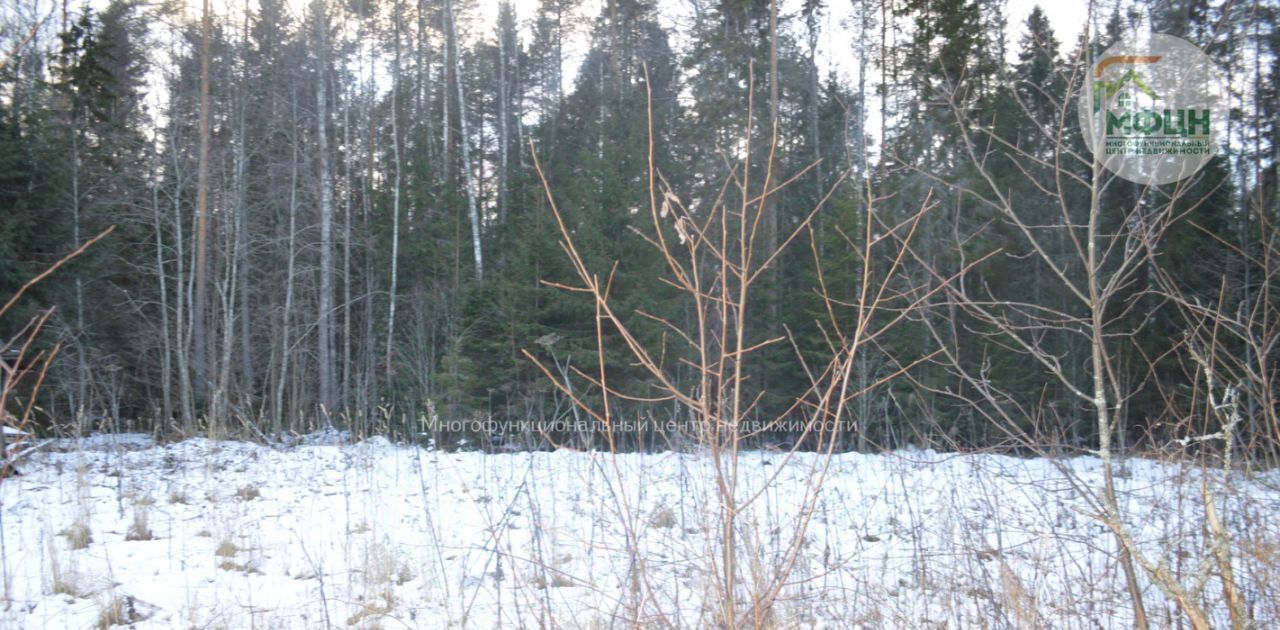 земля р-н Прионежский д Бесовец снт СНТ Садовод Севера Шуйское с/пос, ул. Новая фото 33