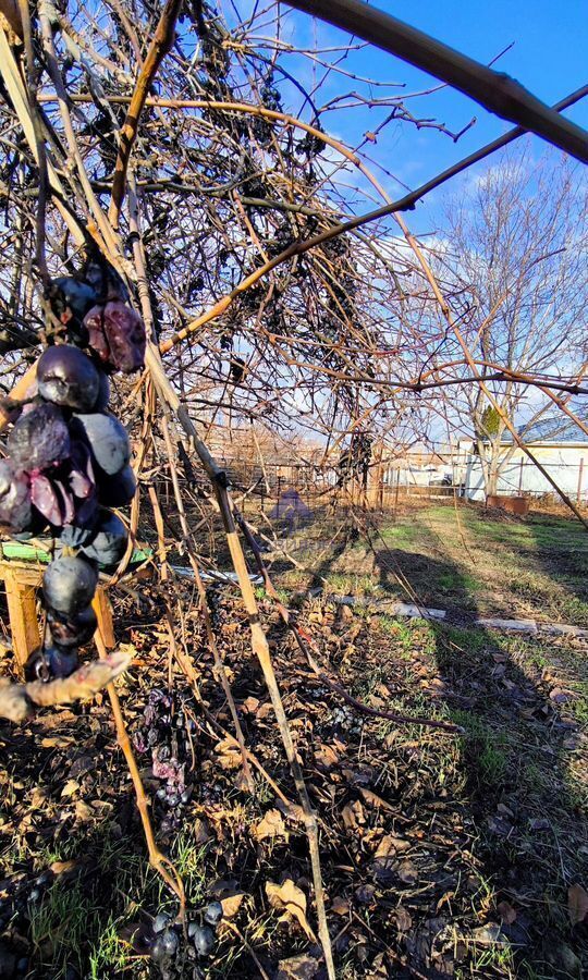 дом г Волгодонск ул. Максима Горького, 19 фото 9