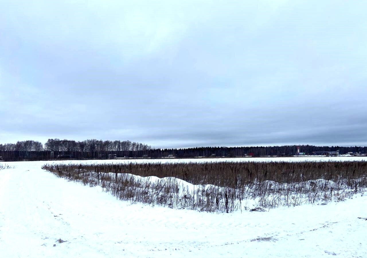 земля городской округ Раменский д Тимонино 30 км, Раменское, Рязанское шоссе фото 3