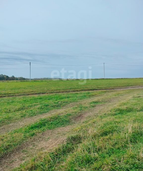 земля р-н Ленинский д Струково городской округ Тула фото 2