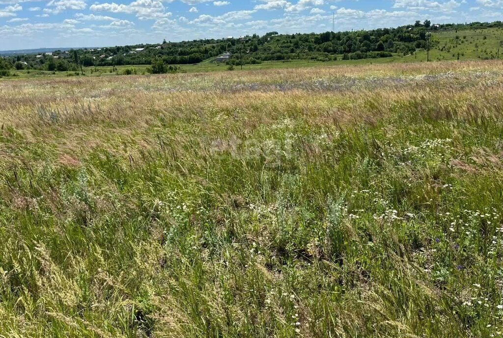 земля р-н Рамонский с Хвощеватка ул Васильковая фото 1