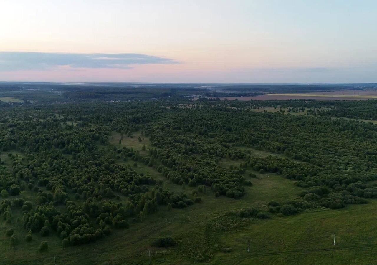 земля городской округ Ступино д Байдиково 63 км, г. о. Ступино, Малино, Новокаширское шоссе фото 8