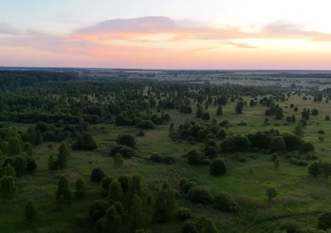 земля городской округ Ступино д Байдиково 63 км, г. о. Ступино, Малино, Новокаширское шоссе фото 7