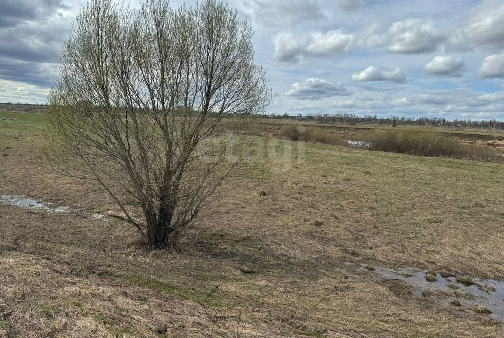 земля р-н Калининский д Брыково ул Нежинская фото 7