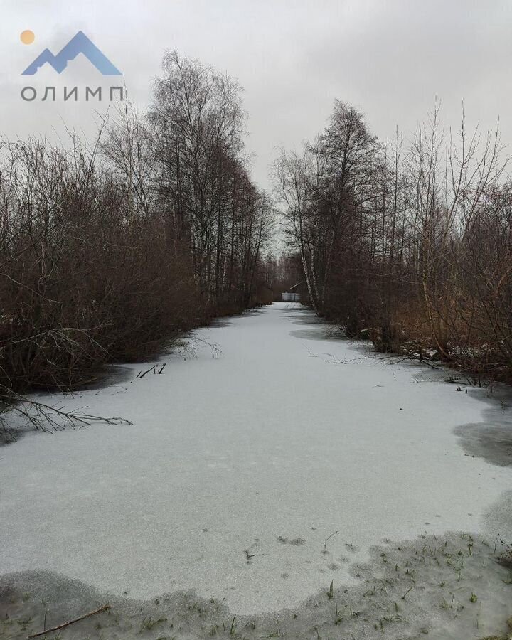 земля г Ярославль р-н Заволжский снт Мелиоратор фото 4