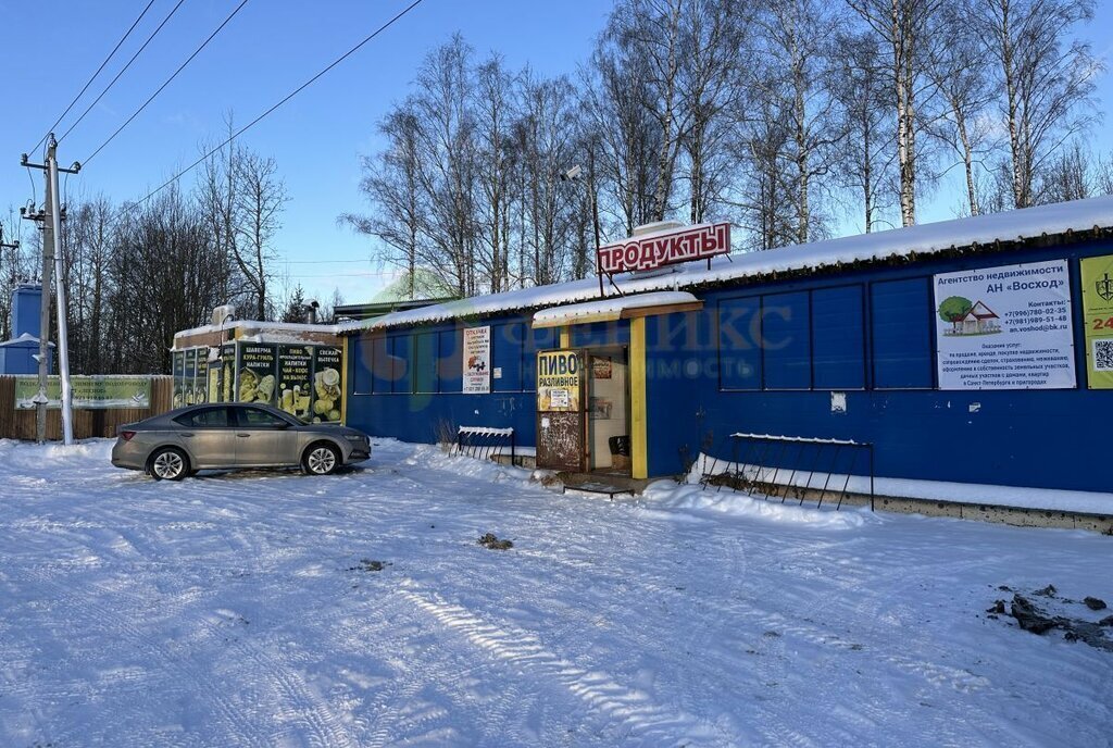 земля р-н Кировский массив Восход снт Лесное Синявинское городское поселение фото 8