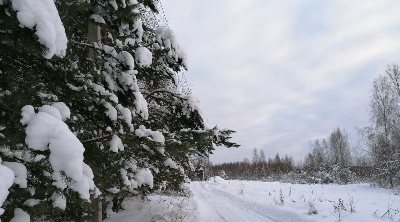 земля р-н Калининский д Иенево фото 6