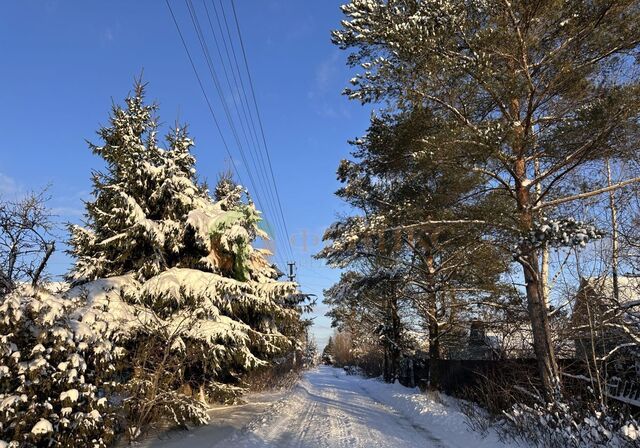 снт Лесное Мурманское шоссе, 40 км, Синявинское городское поселение, Синявино фото