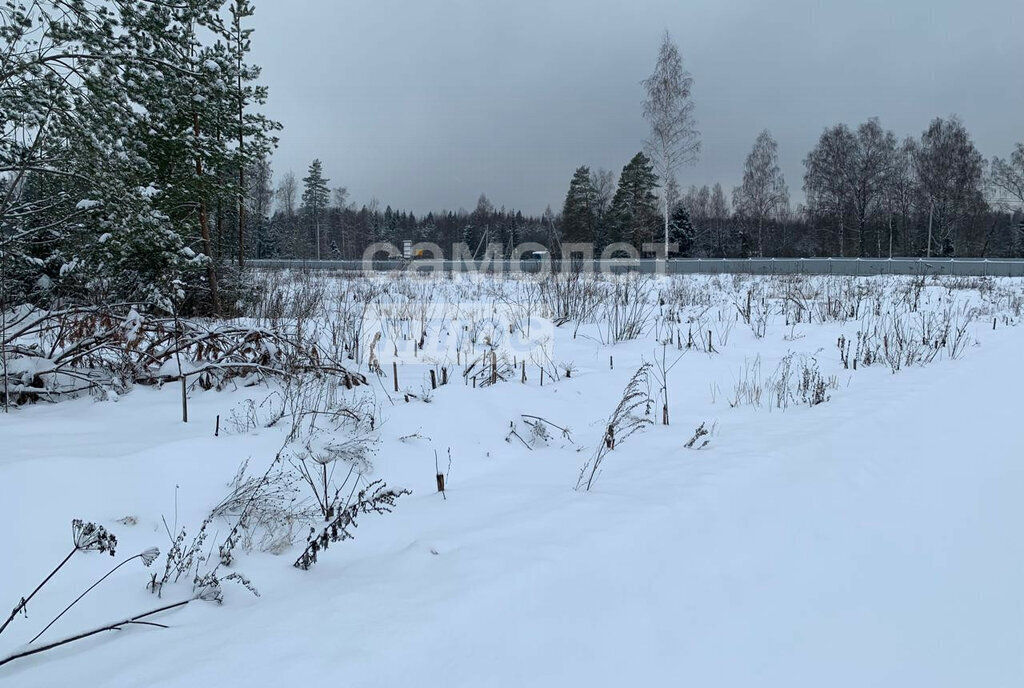 земля городской округ Щёлково д Малые Петрищи фото 7