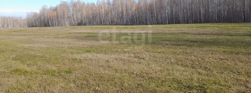 земля р-н Нижнетавдинский п Чугунаево фото 4