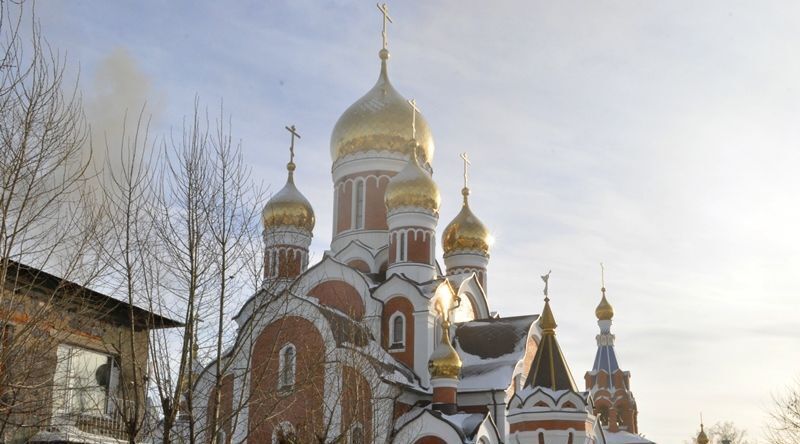 дом р-н Новосибирский ст Мочище ул Чкалова Станционный сельсовет фото 7