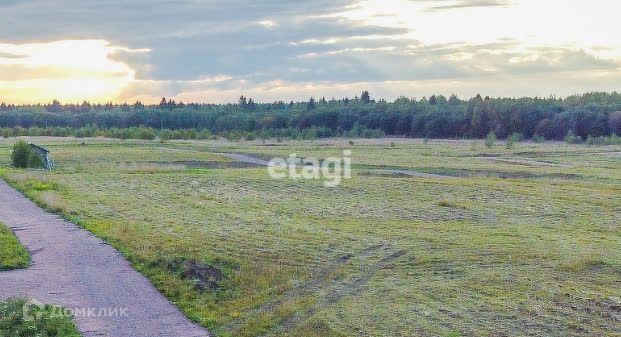 земля р-н Ломоносовский фото 1