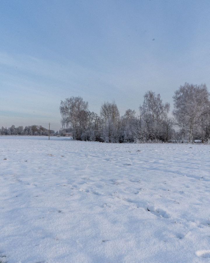 земля городской округ Шаховская с Белая Колпь 112 км, Новорижское шоссе фото 2