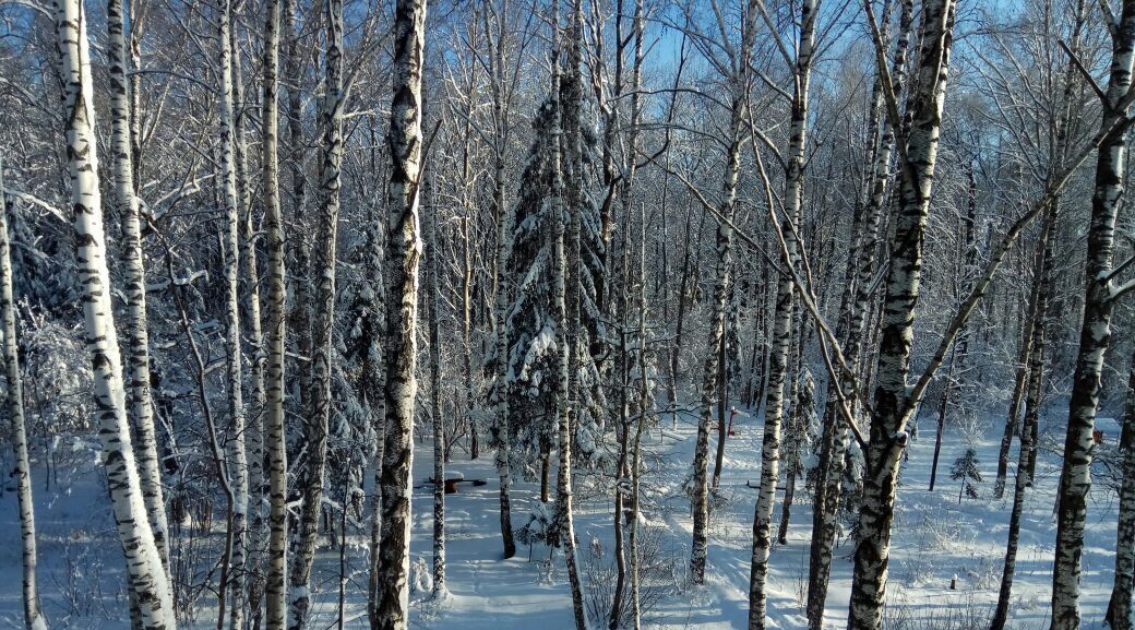 квартира городской округ Одинцовский с Перхушково Одинцово, 217 фото 11