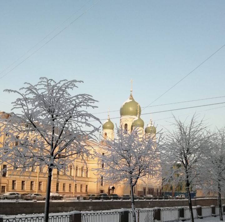 квартира г Санкт-Петербург метро Садовая наб Канала Грибоедова 136 фото 12