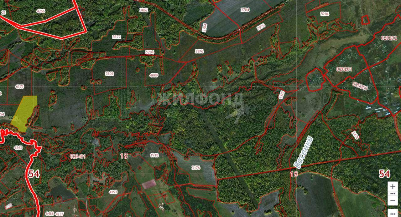 земля р-н Мошковский с Локти ул Советская фото 2