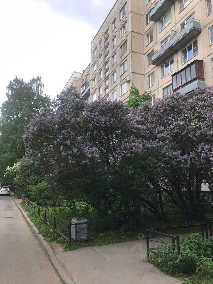 квартира г Санкт-Петербург пр-кт Богатырский 7/3 округ Комендантский аэродром, Ленинградская область фото 5