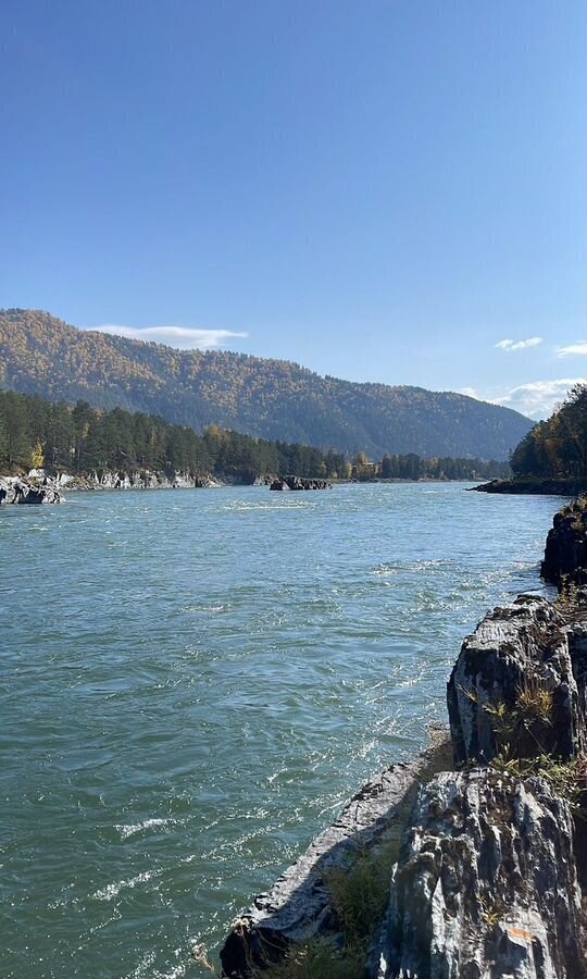 земля р-н Чемальский с Анос Горно-Алтайск фото 1