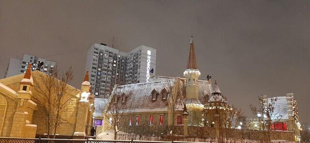 метро Новокосино ВАО ул Салтыковская 33/3 Московская область фото