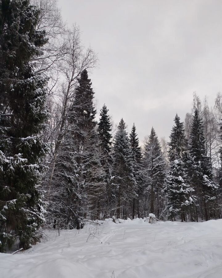 дом городской округ Клин д Ногово снт Лесная опушка 58 км, Клин, Рогачёвское шоссе фото 2