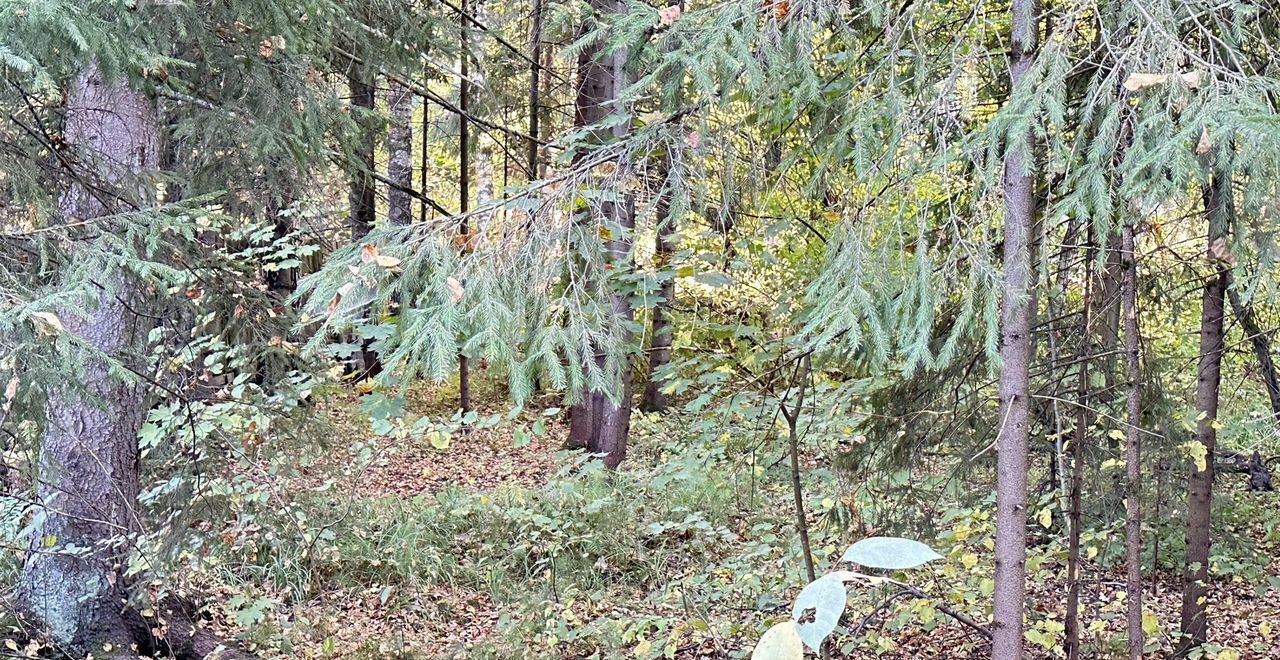 земля городской округ Сергиево-Посадский г Хотьково 40 км, с. Абрамцево, Ярославское шоссе фото 13